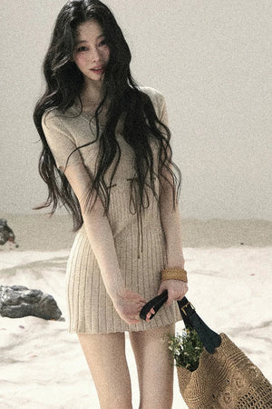 French Lace Knit Short Sleeve Dress