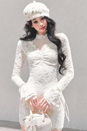 French Lace Mesh Dress