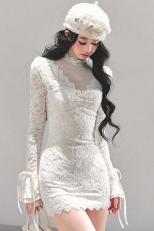 French Lace Mesh Dress