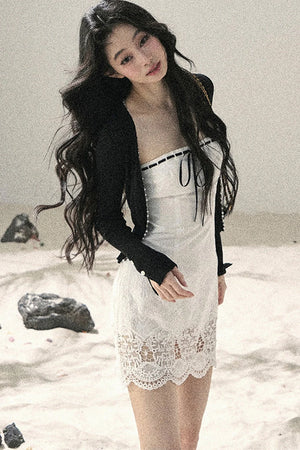 French Style Lace Bodycon Dress