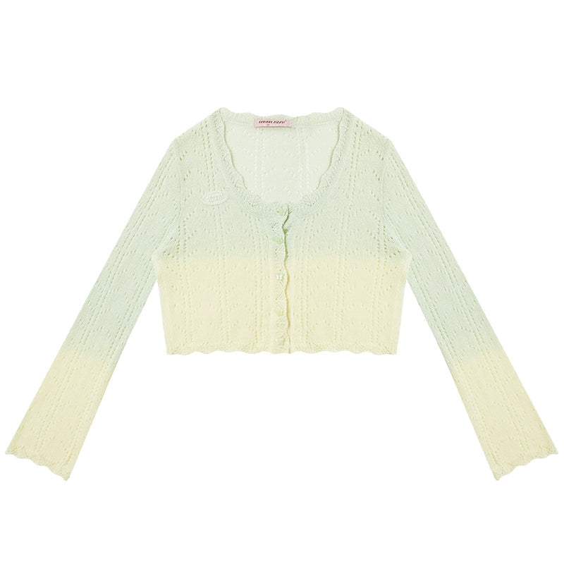 Gradient Hollow Knitted Top