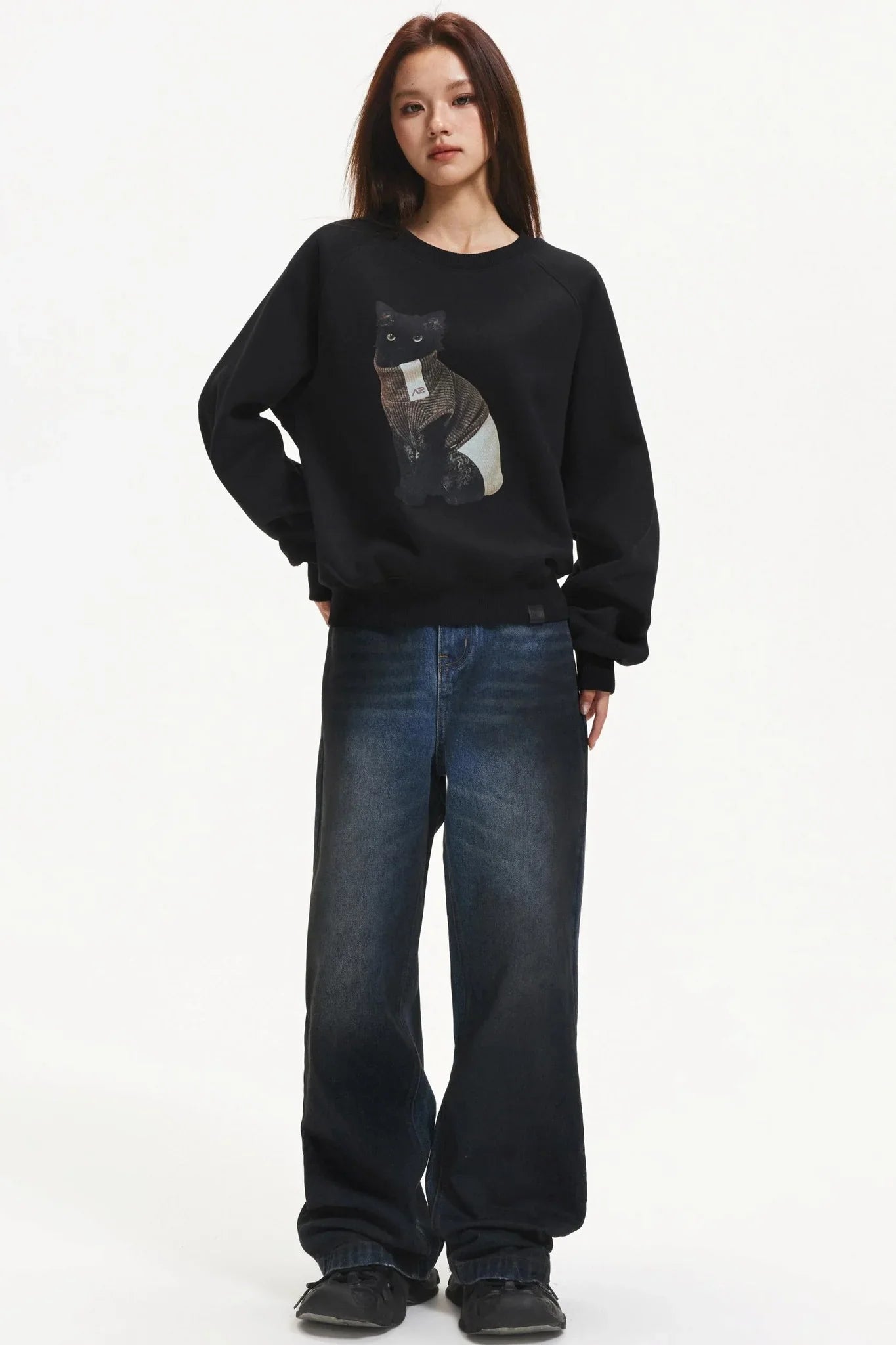 Kitten Print Raglan Sweater