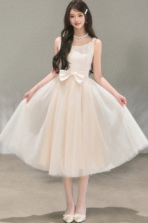 Moonlight Mesh Ballet Dress