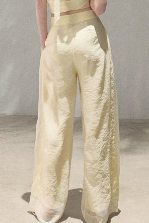 Old Money Mesh Wide-Leg Pants