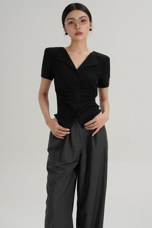 Pleated V-Neck Blouse