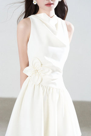 Sleeveless Cowl Neck A-Line Dress