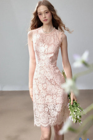 Sleeveless Lace Waist-Cinching Dress