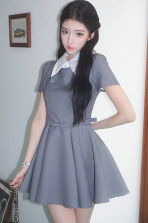 Slimming Waist-Defining Elegant Dress