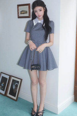 Slimming Waist-Defining Elegant Dress