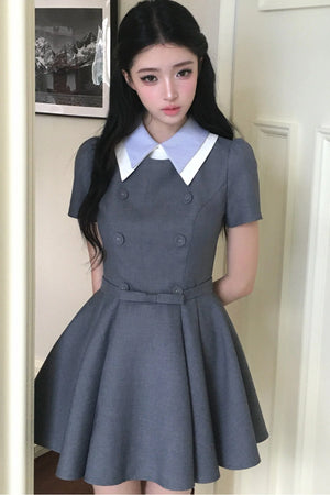 Slimming Waist-Defining Elegant Dress