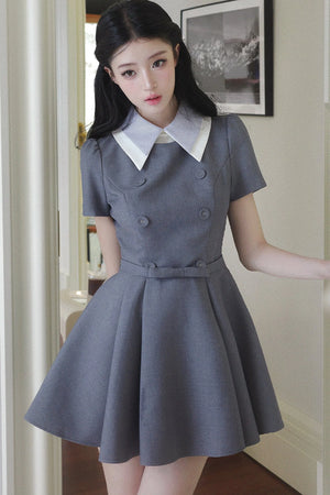 Slimming Waist-Defining Elegant Dress
