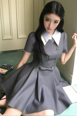 Slimming Waist-Defining Elegant Dress
