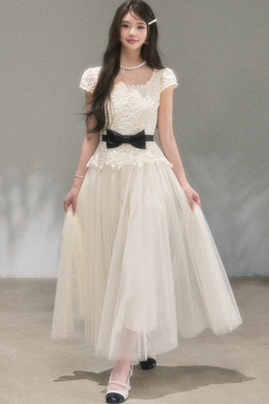 Swan Dream Lace Dress