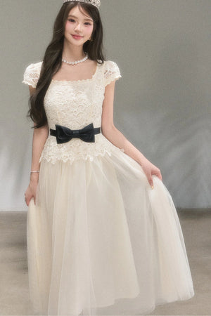 Swan Dream Lace Dress