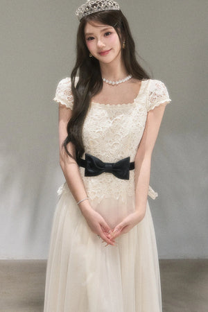 Swan Dream Lace Dress
