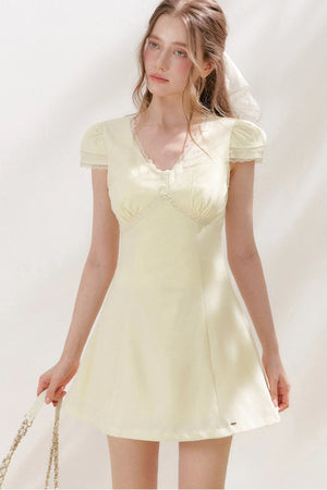 V-Neck Lace Trim A-Line Mini Dress