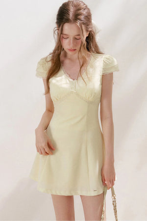 V-Neck Lace Trim A-Line Mini Dress