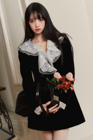 Velvet Lace Embroidered Dress